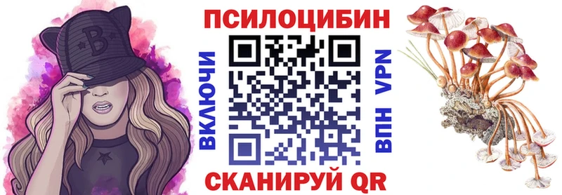 сколько стоит Чайковский omg ССЫЛКА Псилоцибиновые грибы GOLDEN TEACHER