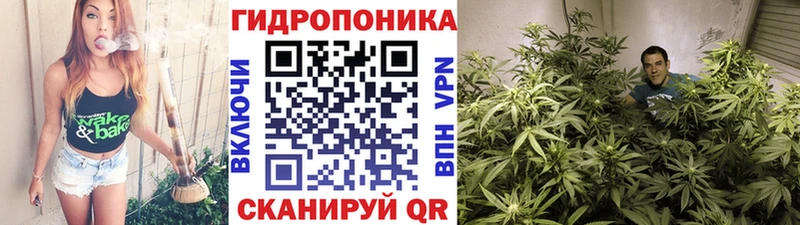 Конопля планчик  Чайковский 